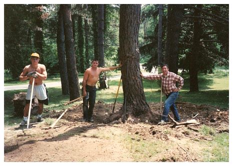 197x - Taking out a treee, the hard way.jpg